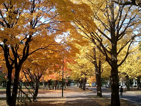 2010-11-06-6