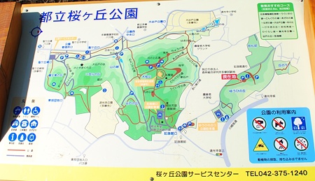 yuuhinooka_tama_map