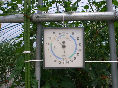 34度高湿度