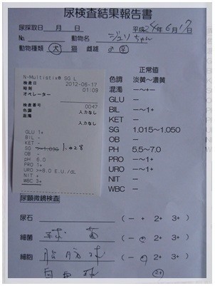 20120617 尿検査 結果