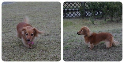 20120630 夕散歩
