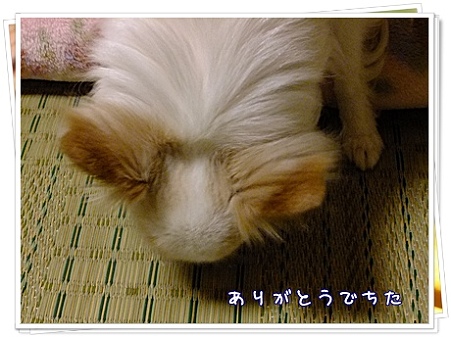 美味ちいもん