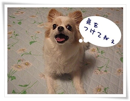 気をつけて