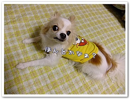 ほんと?