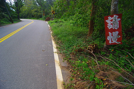 IMGP9333
