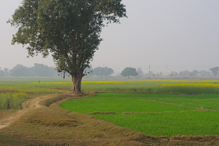 IMGP4792