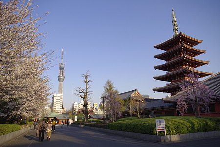 五重の塔＆スカイツリー (3)