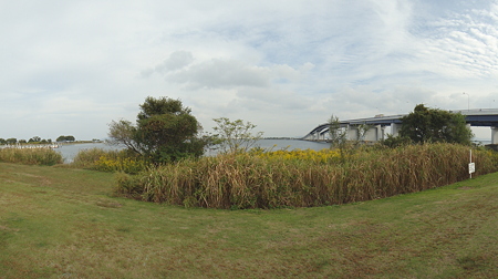 道の駅びわ湖大橋米プラザ-2