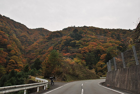 2010年・紅葉のR371(ではなく町道?)