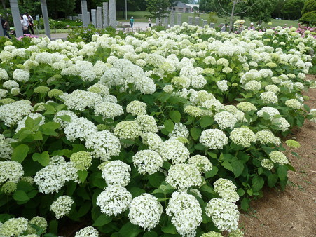 20120617_