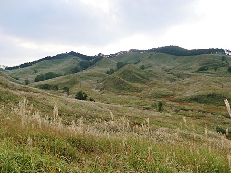 砥峰高原