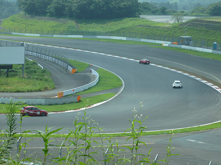 ARCA11
