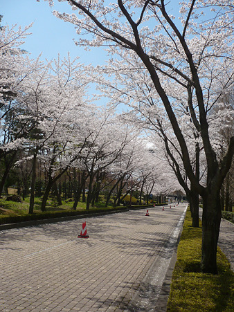 fuku05