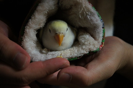 DSC09601