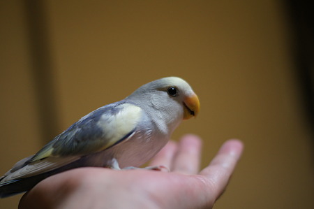 DSC00208