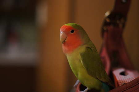 DSC01059