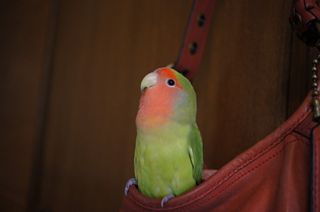 DSC01152