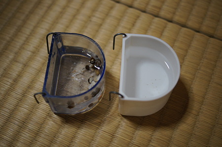 DSC00195