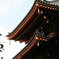 高幡不動・五重の塔１